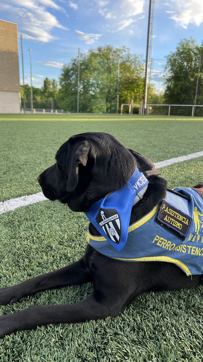 C.D. Peñagrande tweet media