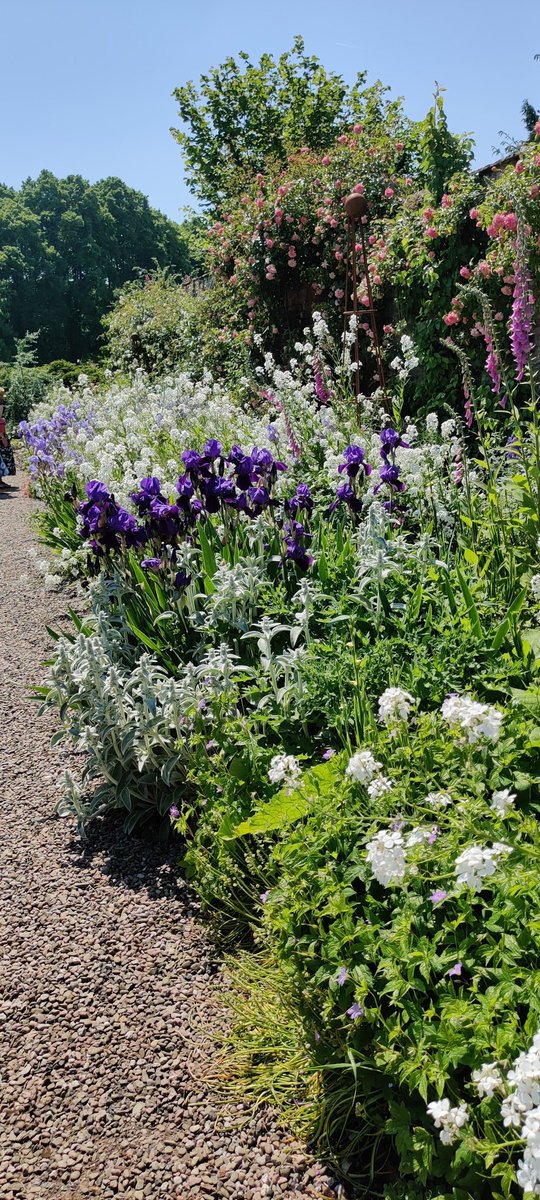 Absolutely stunning secret gardens in glorious sunshine yesterday, in Monmouth. #gardenscheme #nationalgardenscheme