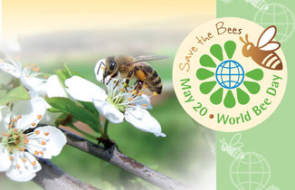 Heute ist Welt Bienen Tag.
Deswegen bitte ich euch alle darum endlich mehr Wälder für Wind und Solarenergie abzuholzen und bitte auch mehr Monokulturen zu wagen für eine Pflanzenbasierte Ernährung.
Denn Bienen sind gemein und stechen die kleinen Wiggserinnen