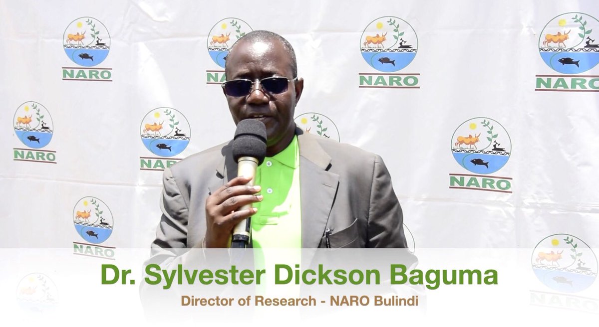 BulindiZ's tweet photo. Highlights of ground-breaking ceremony for #coffee demonstration site in Kikuube district by @narouganda in partnership with @Bunyoro_Kitara to promote coffee production in the kingdom. 
Video link: https://t.co/cMnlcd1ho6
@NaCORIUganda 
@CoffeeUganda 
#NAROatWork 
📹: @bob_abor https://t.co/Sgw0e7buPX