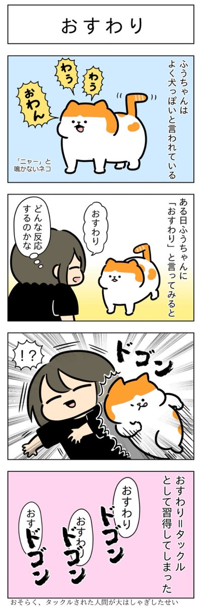 おすわり・ボール遊び│フェリシモ猫部 https://t.co/60aUF5owjG 
