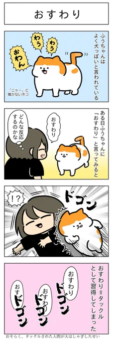おすわり・ボール遊び│フェリシモ猫部 https://t.co/60aUF5owjG 