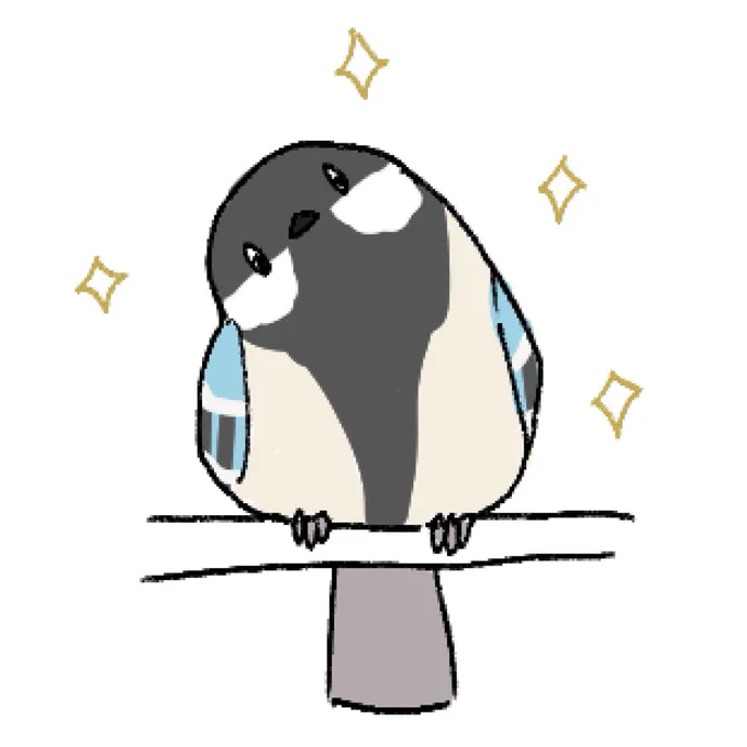 キュルキュルのシマエナガ()!!!!!!! 