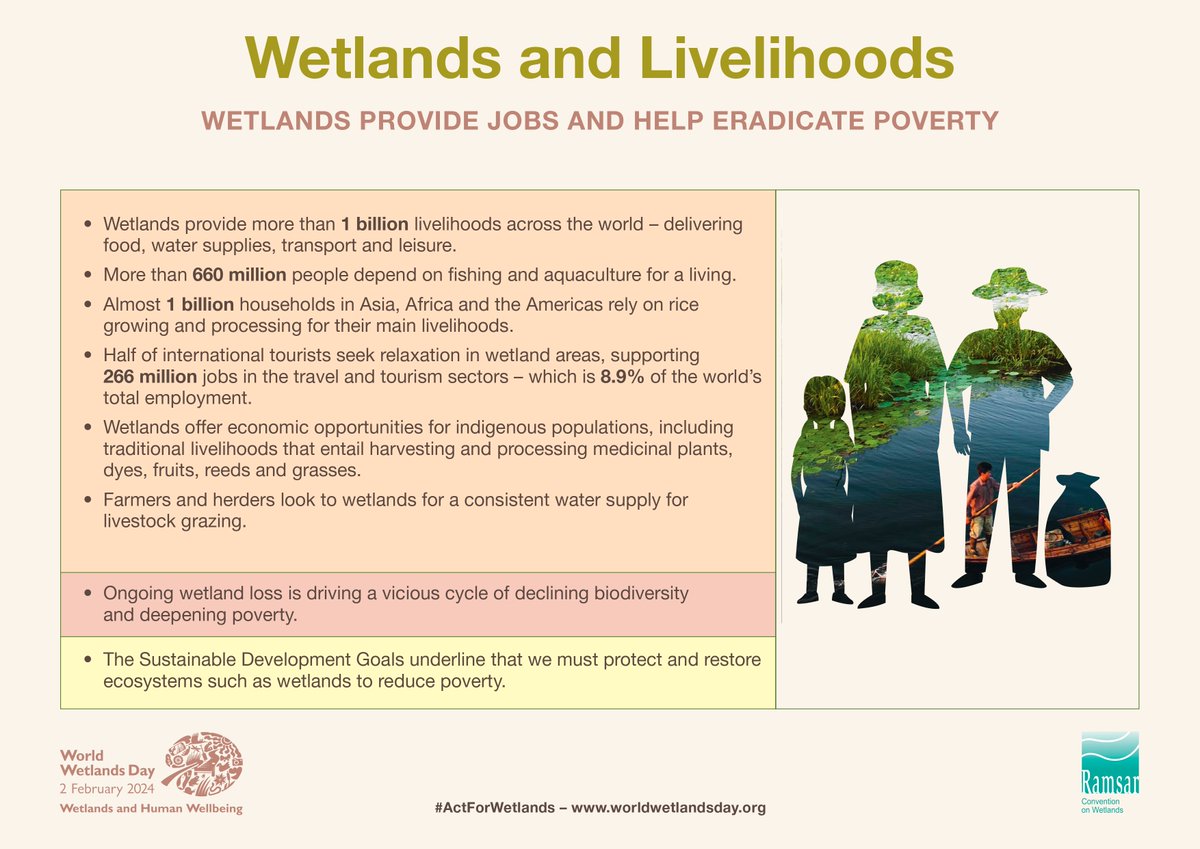 Wetlands provide more than 1 billion livelihoods across the world. The #SustainableDevelopmentGoals underline that we must protect and restore ecosystems such as wetlands to reduce poverty. bit.ly/3HMK8fK #WetlandsandPeople