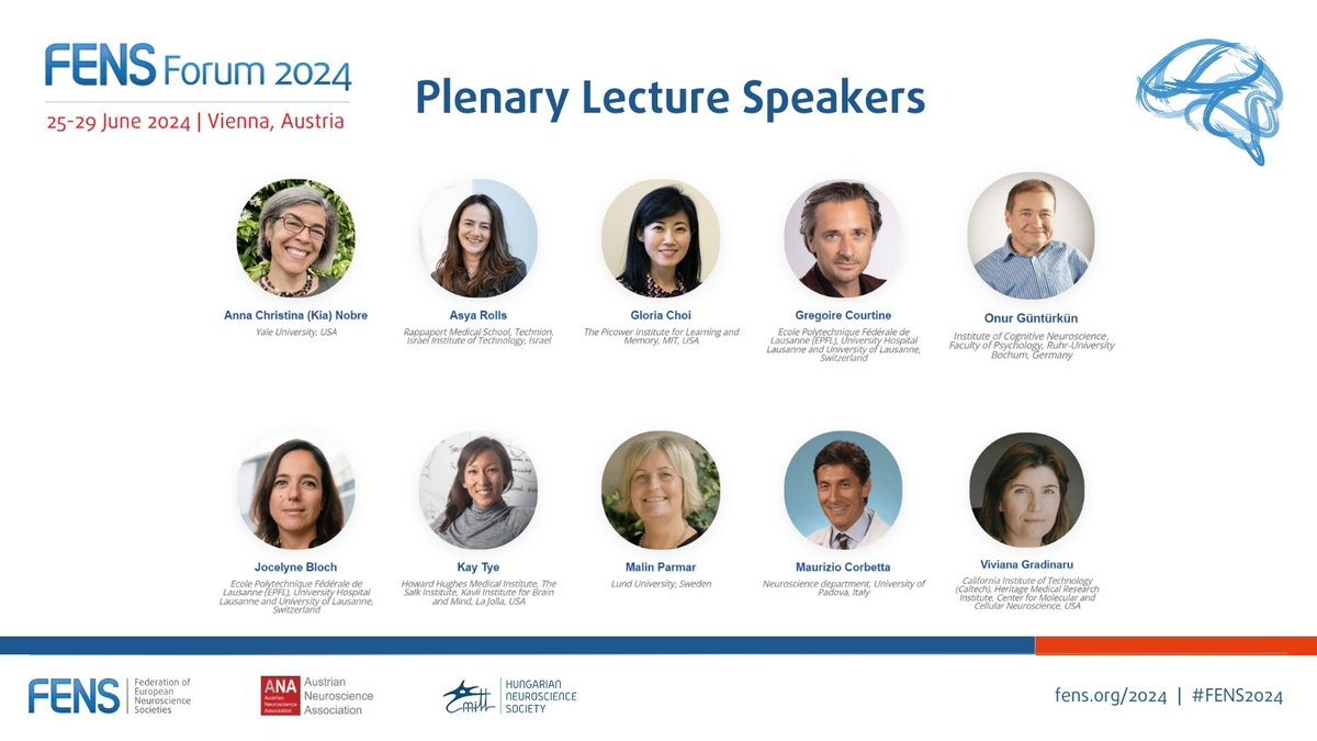 Have you checked the incredible Plenary Lecture Speakers lineup for #FENS2024? 🧠🔬 Get ready to be inspired by leading experts in the field who will share their groundbreaking #research and insights. Learn more loom.ly/sYmIOCk @AustrianNeuros1