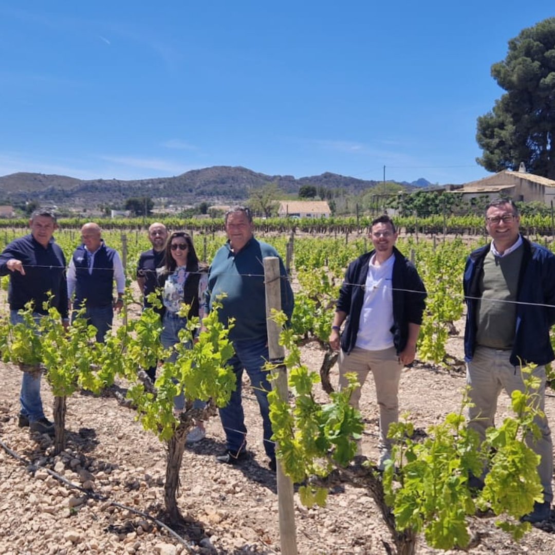 YaraIberian's tweet photo. 🚀 Hoy os traemos uno de esos #TotalYara que tanto nos gustan... ¡y a los #cultivos más!
🍇 En esta finca de uva de mesa de KSI Terre en #Elche (Alicante), en colaboración con nuestro distribuidor AgroCanals, se emplean varios productos de la línea YaraTera™ HYDROTERRA, junto con YaraVita™ STARPHOS y YaraVita™ FRUTREL.
📸 Javier Ortiz.
#Agricultura #KnowledgeGrows
@Yara @YaraEurope