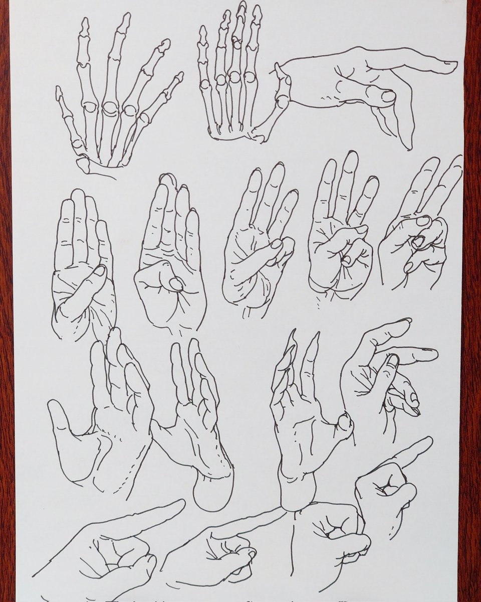 霊長類お兄さん tweet media