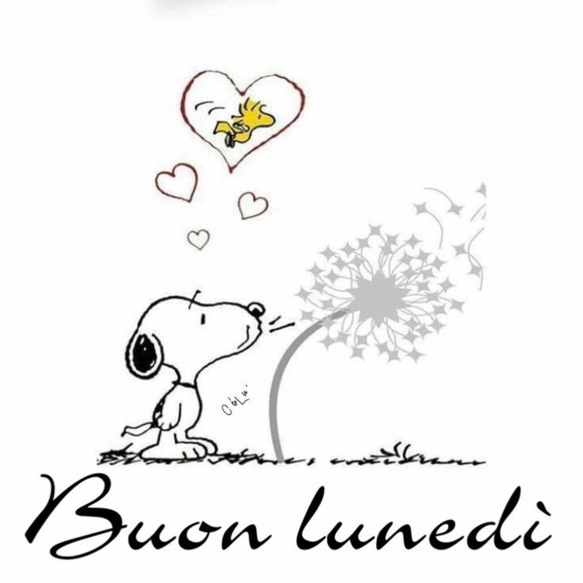 Buon inizio di settimana Twitterini!😙