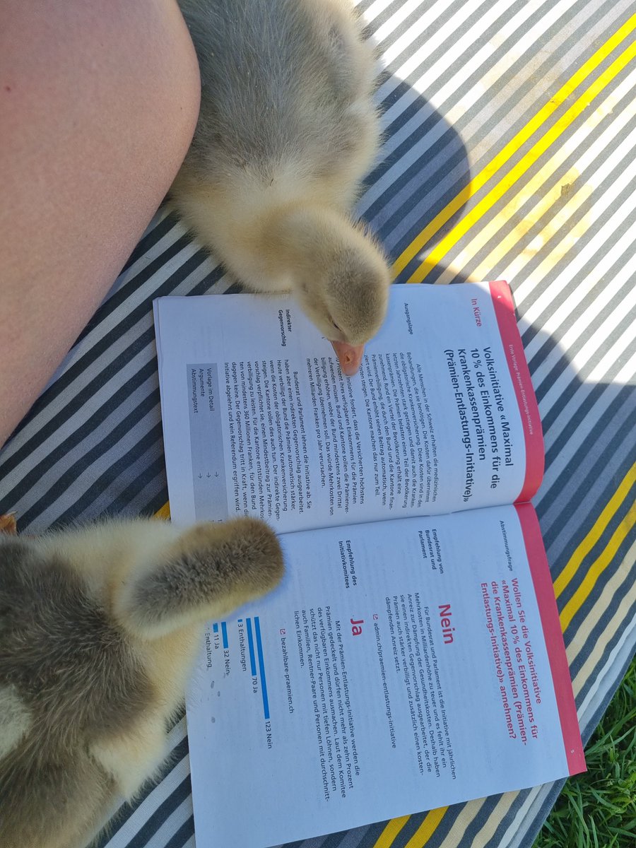 My family finally became Swiss citizens after a 4-year application process. Photo shows information for our first referendum vote. Since I cannot be refused citizenship now, it is time to say what I *really* think of this country. Thread.