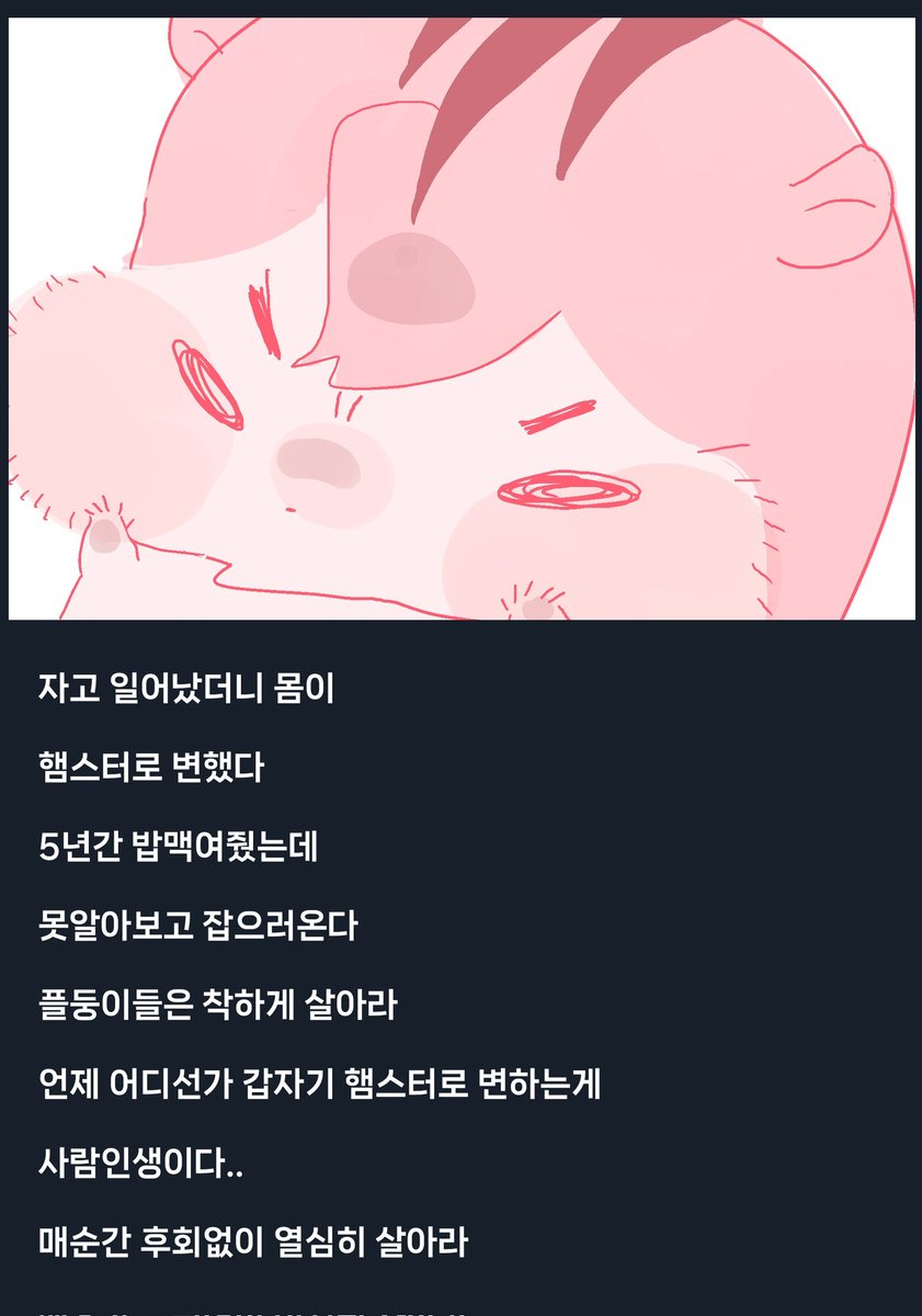 떼루 tweet media