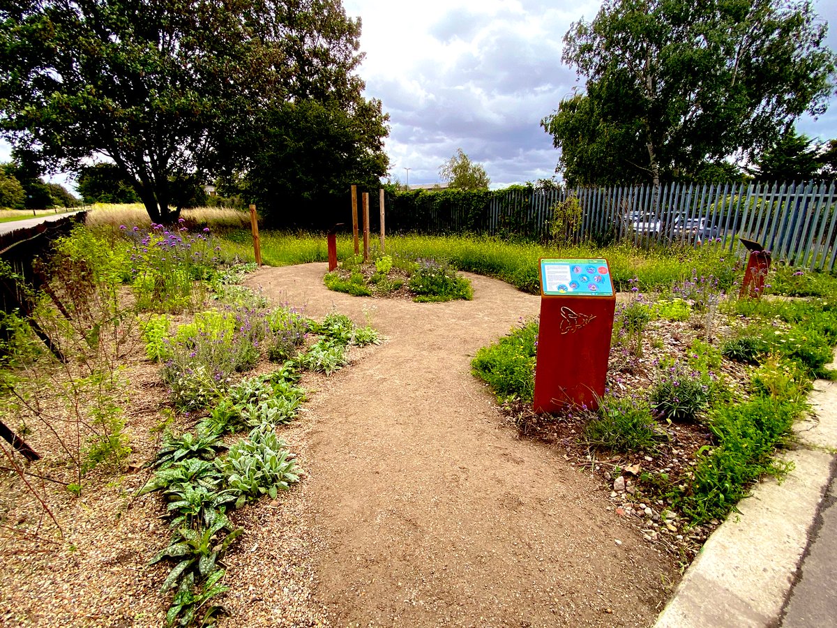 JamesAsser's tweet photo. Today is #WorldBeeDay! 🐝

Last year we opened the #Newham bee garden on The Greenway on our 6km #pollinator trail🌻🦋

Take a look - head down The Greenway &amp; find the bee garden behind Newham Hospital 🏥

More info: https://t.co/vu3c8yxY2c

#Rewilding #Wildlife #Bee #Bumblebee https://t.co/QLf0Bz40Ki