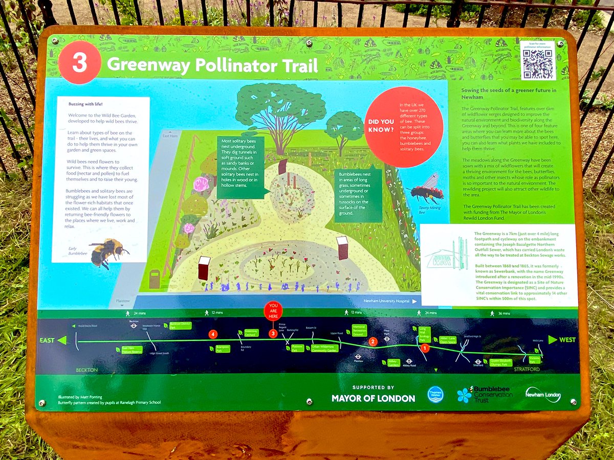 JamesAsser's tweet photo. Today is #WorldBeeDay! 🐝

Last year we opened the #Newham bee garden on The Greenway on our 6km #pollinator trail🌻🦋

Take a look - head down The Greenway &amp; find the bee garden behind Newham Hospital 🏥

More info: https://t.co/vu3c8yxY2c

#Rewilding #Wildlife #Bee #Bumblebee https://t.co/QLf0Bz40Ki