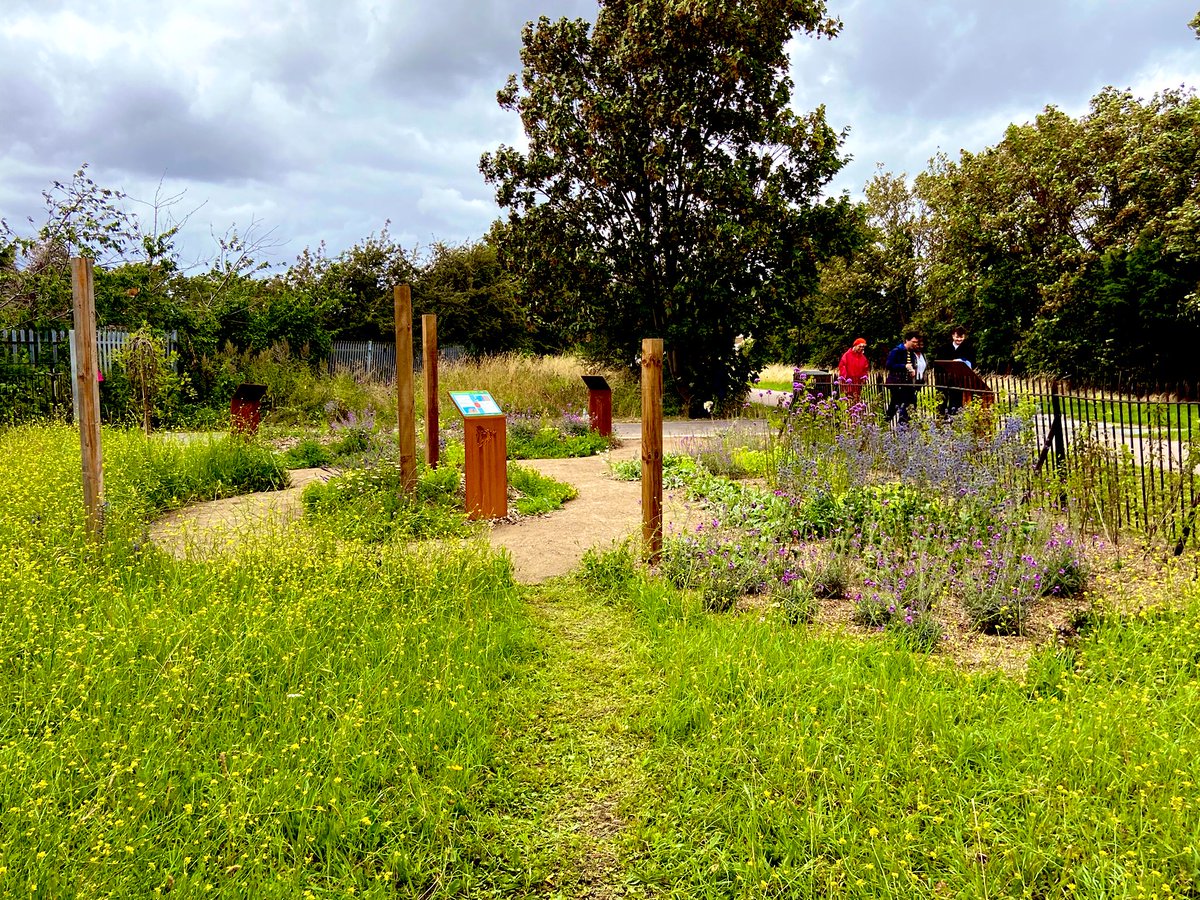JamesAsser's tweet photo. Today is #WorldBeeDay! 🐝

Last year we opened the #Newham bee garden on The Greenway on our 6km #pollinator trail🌻🦋

Take a look - head down The Greenway &amp; find the bee garden behind Newham Hospital 🏥

More info: https://t.co/vu3c8yxY2c

#Rewilding #Wildlife #Bee #Bumblebee https://t.co/QLf0Bz40Ki