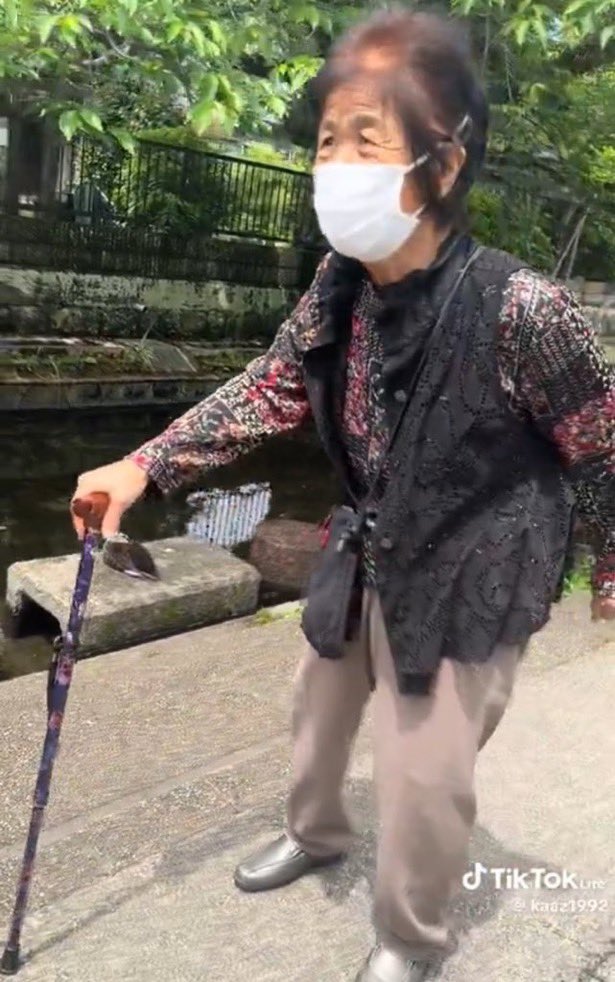 soryo_muryo's tweet photo. 【伝説の老兵】

御意   暴れる https://t.co/hcMTqJVMCq
