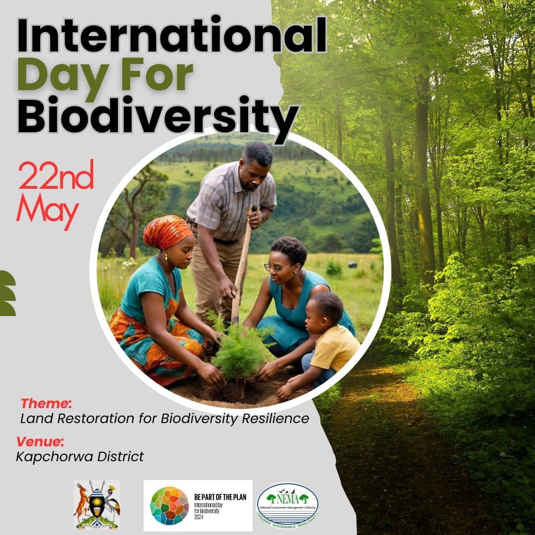 🌍✨ International Day for Biodiversity celebrations on May 22nd! 🌱 This year’s national theme, 'Land Restoration for Biodiversity Resilience,' highlights the crucial role of restoring our land to foster a sustainable future. #BiodiversityDay #LandRestoration