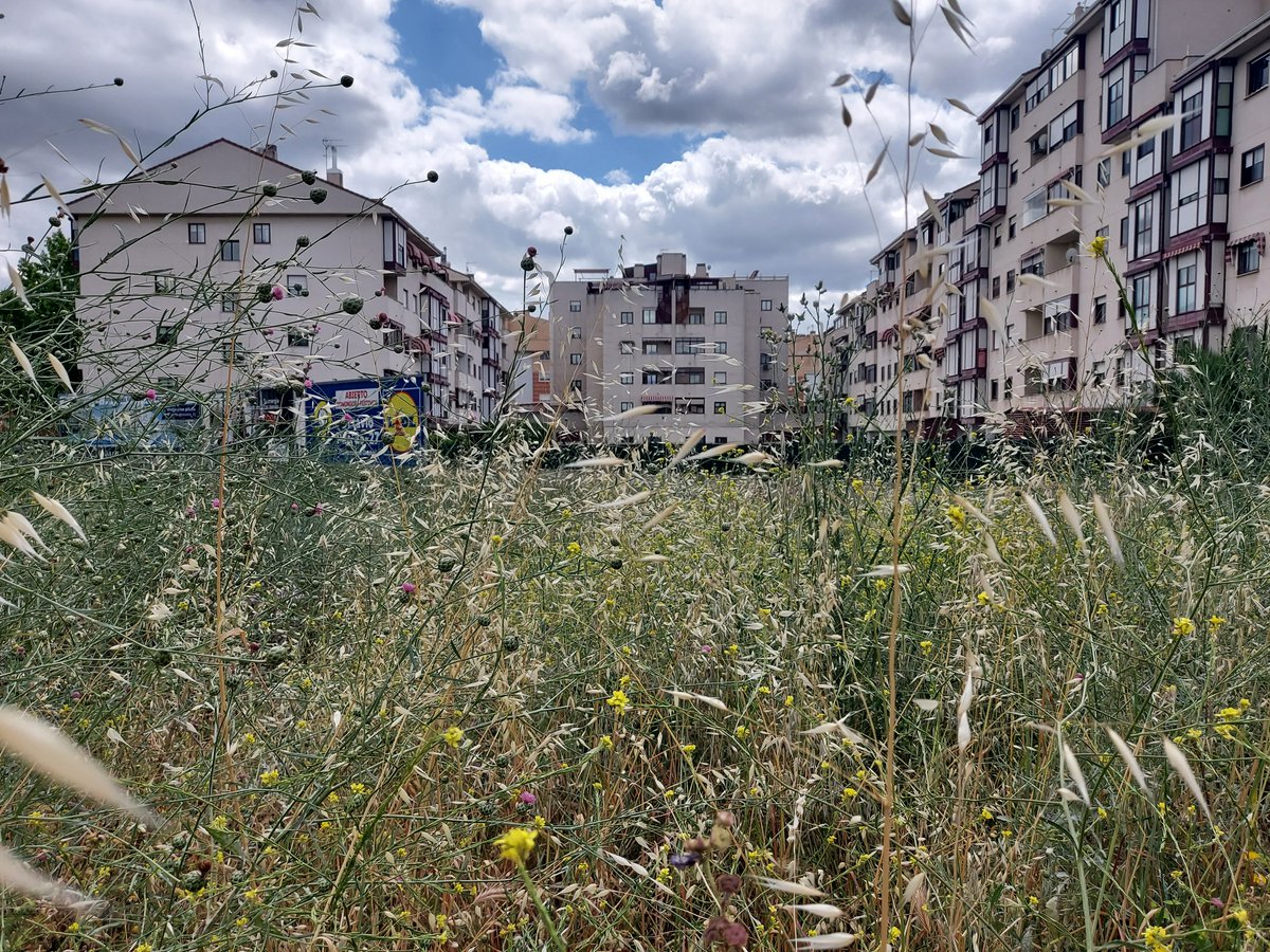 EFE Verde tweet media