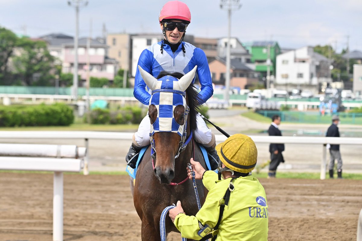 浦和5Rで行われたドリームチャレンジ #2歳新馬 は､2番手を追走した1番人気プレミアムハンドが競り合いをクビ差で制しました🎉

4Rに続き､山口裕介オーナー&小久保智厩舎のタッグV🌟生産はAnn Mudge Backer／Smitten Farm（米）様｡

父Audible､母Avuncular､母の父Uncle Moという血統の牡馬です🏇💫