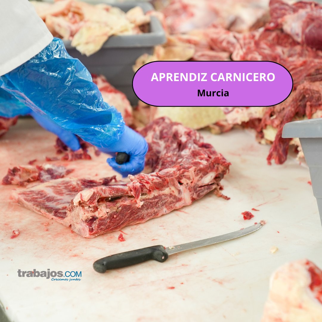 trabajoscom's tweet photo. 🔔¡Oportunidad de Empleo!🔔
¿Te apasiona el mundo de la carnicería y quieres aprender desde cero?🥩 
💼 Puesto: #AprendizdeCarnicería
📌 Ubicación: #Murcia 

¡No pierdas esta oportunidad e inscríbete!🚀✨
📩https://t.co/Bv76gpN3By
#OportunidadLaboral #TrabajosCom #Carnicero https://t.co/tDg9Y25HVc