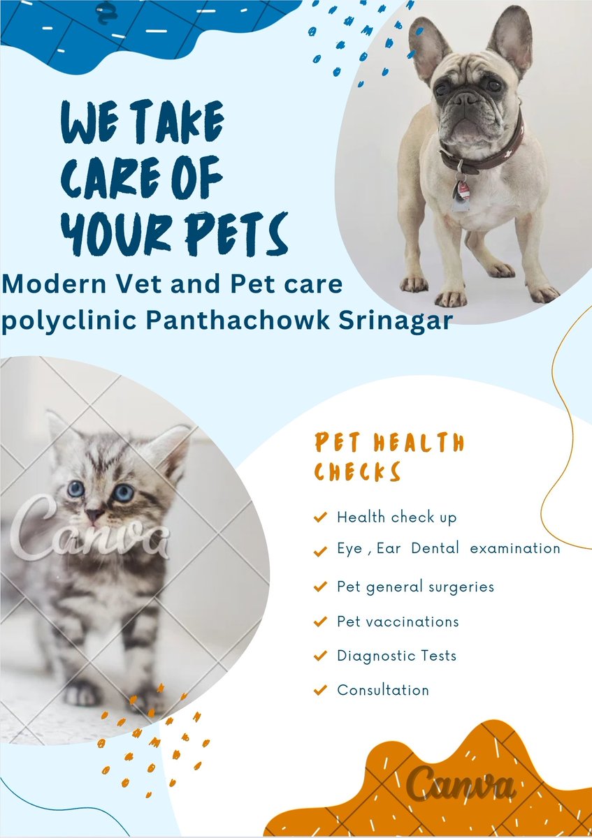 RAASHIDBHAT91's tweet photo. #veterinary #vet #veterinarymedicine #veterinaria
#veterinarian #vetlife #vetmed #medvet
#medicinaveterinaria #veterinario #vetstudent #dog
#vettech #vetschool #ria #pet #pets #cat #dogs
#veterinarylife #vetnurse #vets #veterinaryclinic
#veterinarytechnician #dogs #vettechlife https://t.co/MifAJeQPuz