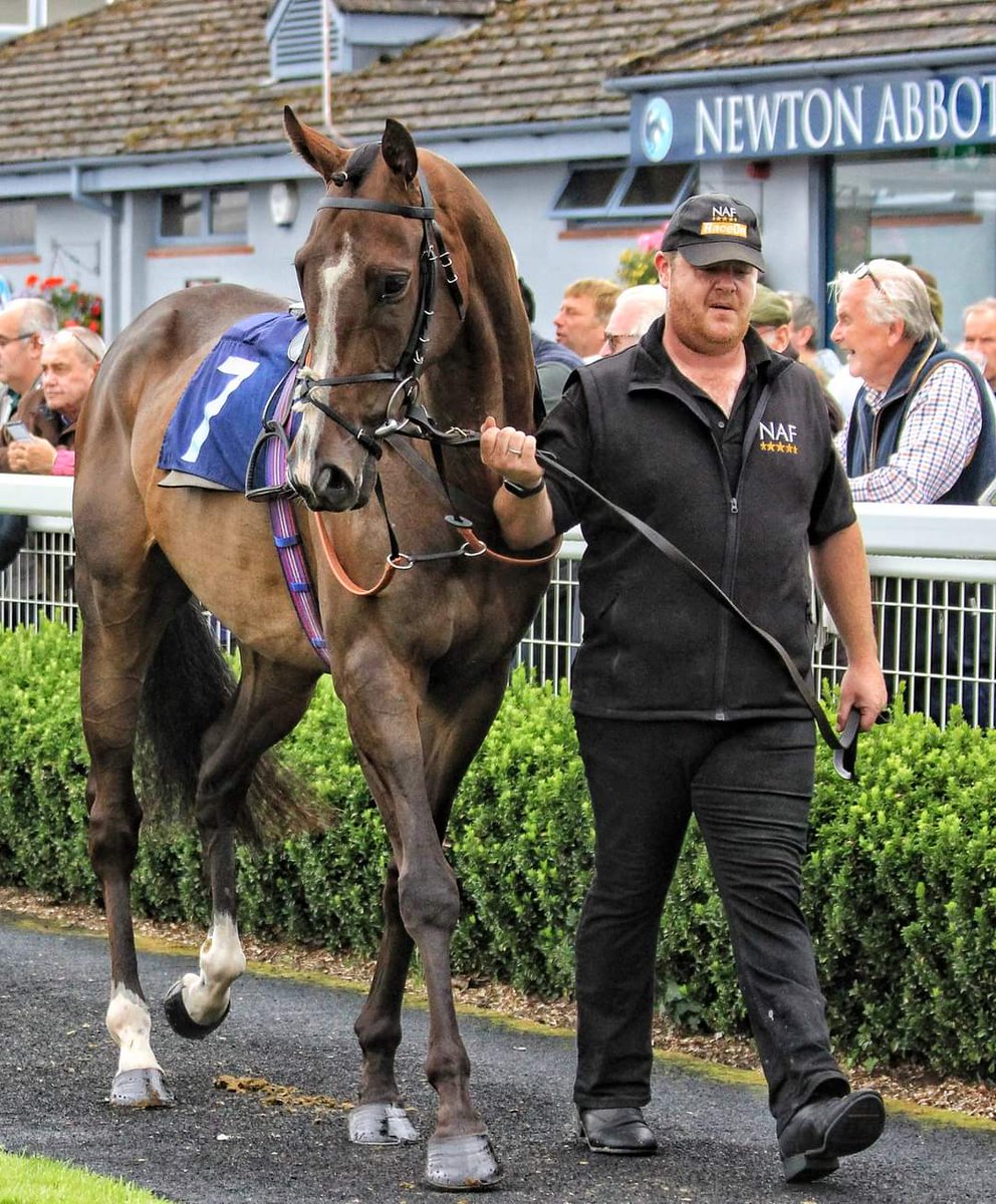 Good luck to our boy Up For Appeal at our local track @NewtonAbbotRace today for @Foxtrot_Racing and @CWilliamsRacing. Sadly we are nearly 500 Mike's away but can hopefully find somewhere to watch the race.