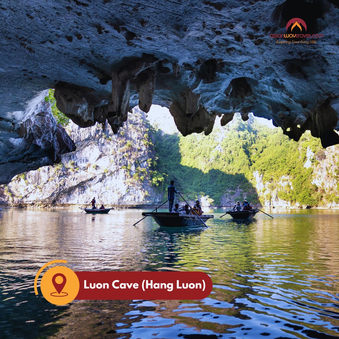 AsianwayTravel's tweet photo. Itinerary for 1 day experience in Ha Long Bay 😍

Contact us to have a wonderful trip 👍
📷 Inbox: https://t.co/Hq4bX1Z8wJ
📷 Contact us: booking@asianwaytravel.com
📷 Website: https://t.co/7D2ed89Fnp

#travel #vietnam #localexperience https://t.co/6HsqUOaEVE