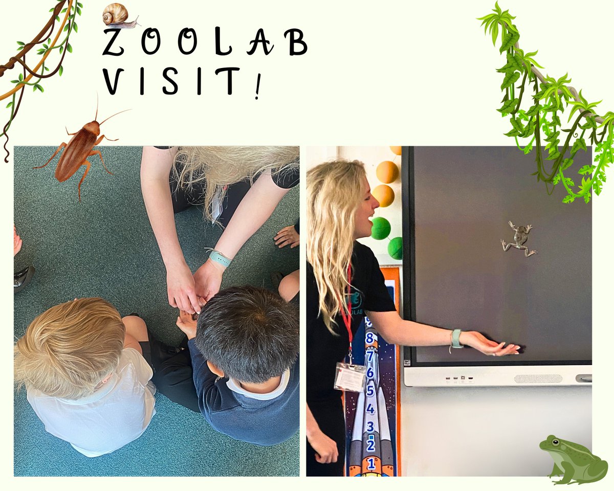 Giant snails, tree frogs and Joan the cockroach!!
Thank you @ZooLabUK for a wonderful visit to #Reception this morning!  

#EYFS #ExperientialLearning #inquisitive #discovery