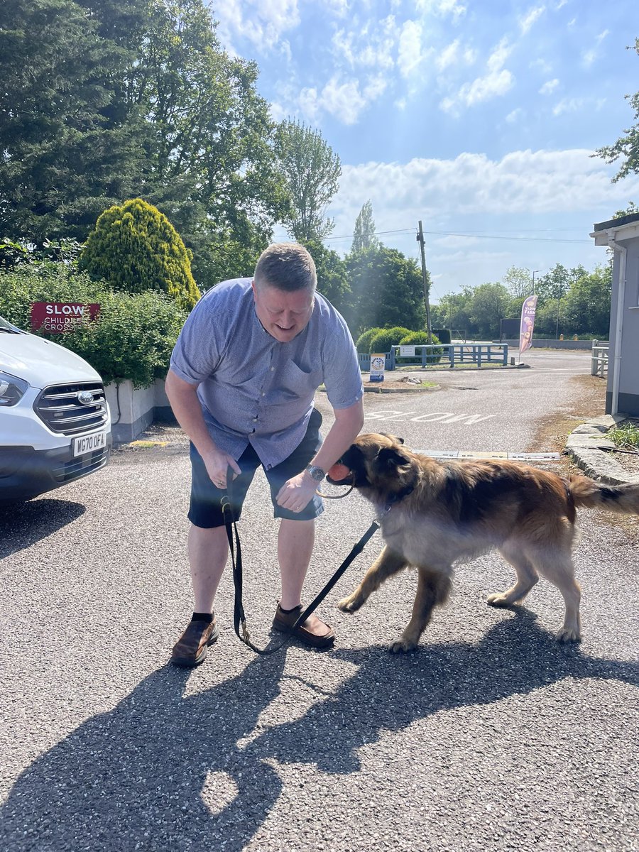 _IanAdams's tweet photo. A quick breather from the day job to have a play with @dcp_pd. He’s a cheeky chap, a real beauty and has travelled up from Cornwall to say hello, while his TPD friends are learning to be a pro, just like him! 🐾💙 #PoliceDogTraining https://t.co/WPr6pK9oIE