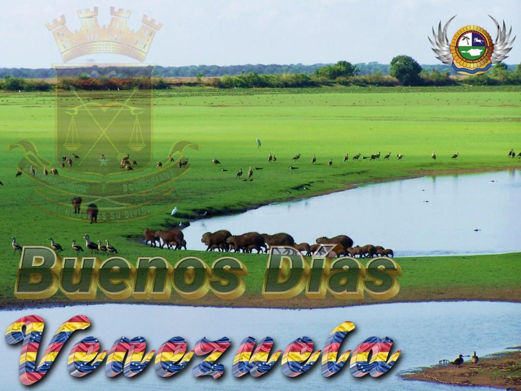 ¡Buenos días, apreciado pueblo apureño!
Que el brillante sol llanero ilumine sus hogares en este nuevo día. Que la calidez de su gente y la fuerza de su tierra los acompañen en cada paso.
¡Que viva Apure!