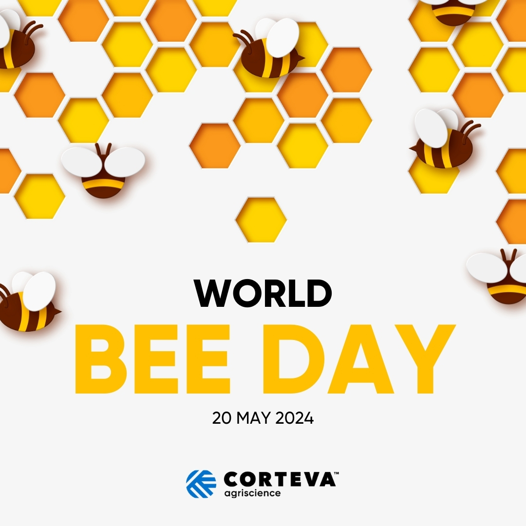🐝🌍 On #WorldBeeDay, @Corteva celebrates the crucial role of bees in our ecosystems & food systems. We recognise the importance of protecting these incredible pollinators for a sustainable future. Join us in supporting #BeeHealth! #ProtectPollinators