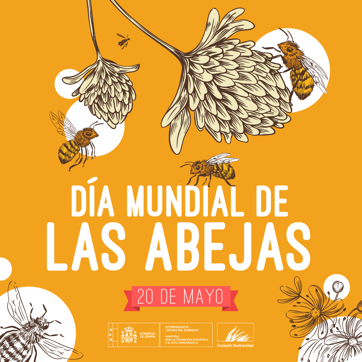 Existen más de 20.000 especies de abejas 🐝 en el mundo. Son polinizadores que: 🧑‍🌾 Ayudan a la polinización de los cultivos 🌼 Aumentan la #biodiversidad 🏞️ Mantienen los ecosistemas #DíaMundialDeLasAbejas #WorldBeeDay