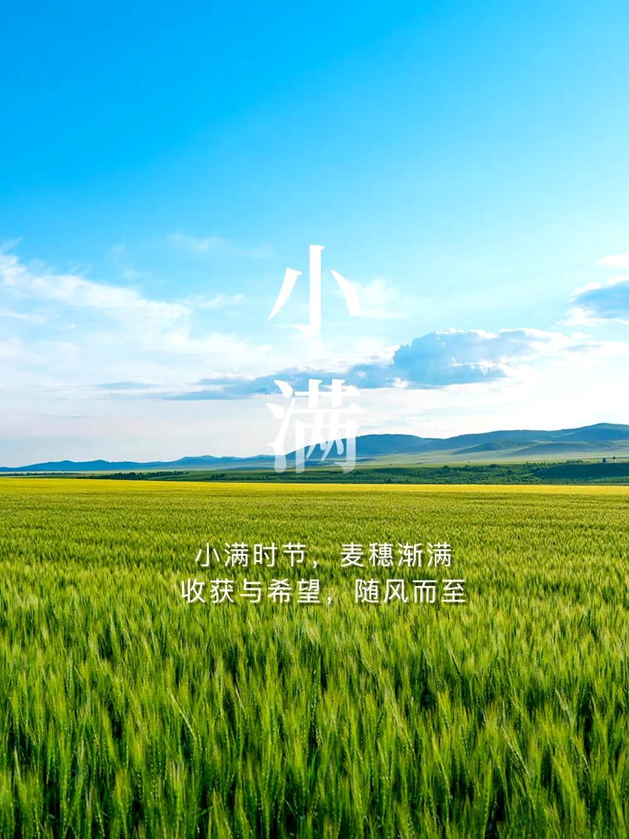 'Grain Buds' or 'Xiaoman' is the second #SolarTerm of #summer . It means that the seeds from the grain are becoming full, the #crops are growing vigorously, and the summer #harvest is about to begin.
#小满 是夏天的第二个节气，意味着谷物种子逐渐饱满，庄稼茁壮生长，夏收即将开始。