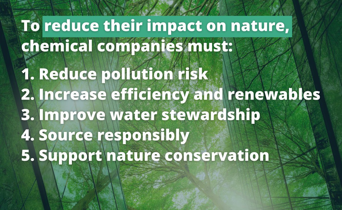 🌱 How can the chemicals sector take actions to ensure it contributes to a #NaturePositive and #NetZero future? @wef has led sector-specific guidance with @oliverwyman outlining this. 🔗 Read the report: www3.weforum.org/docs/WEF_Natur…