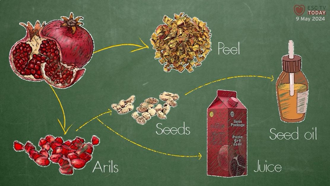 Are pomegranates truly a superfood for the heart? Find out on Mythbusters. 

Listen to this #ESCTVToday episode 👉 bit.ly/3UNTuOt

Sign up for reminders so you Never Miss a Beat bit.ly/3IQ1B7G