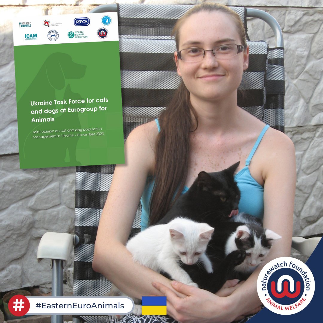 Despite living in a country at war, Natalie's working on ways to humanely control stray dogs & cats in Ukraine. As a member of Eurogroup for Animals' Ukraine Task Force, she helped plan a strategy for the country's companion animals: ow.ly/5B2R50Rqagv #EasternEuroAnimals