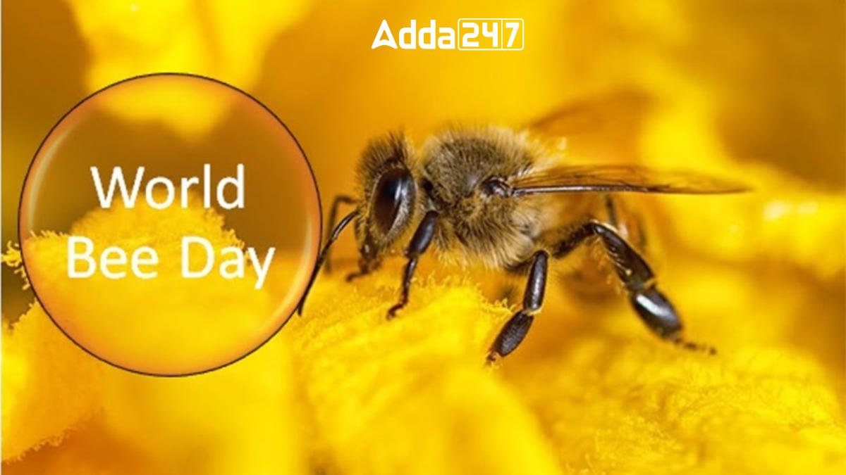 Happy World Bee Day! This year's theme is “Bee Engaged with Youth.” 

Let's inspire and empower young people to protect these essential pollinators.

 Together, we can create a sustainable future for bees and our planet!  

#WorldBeeDay #SaveTheBees