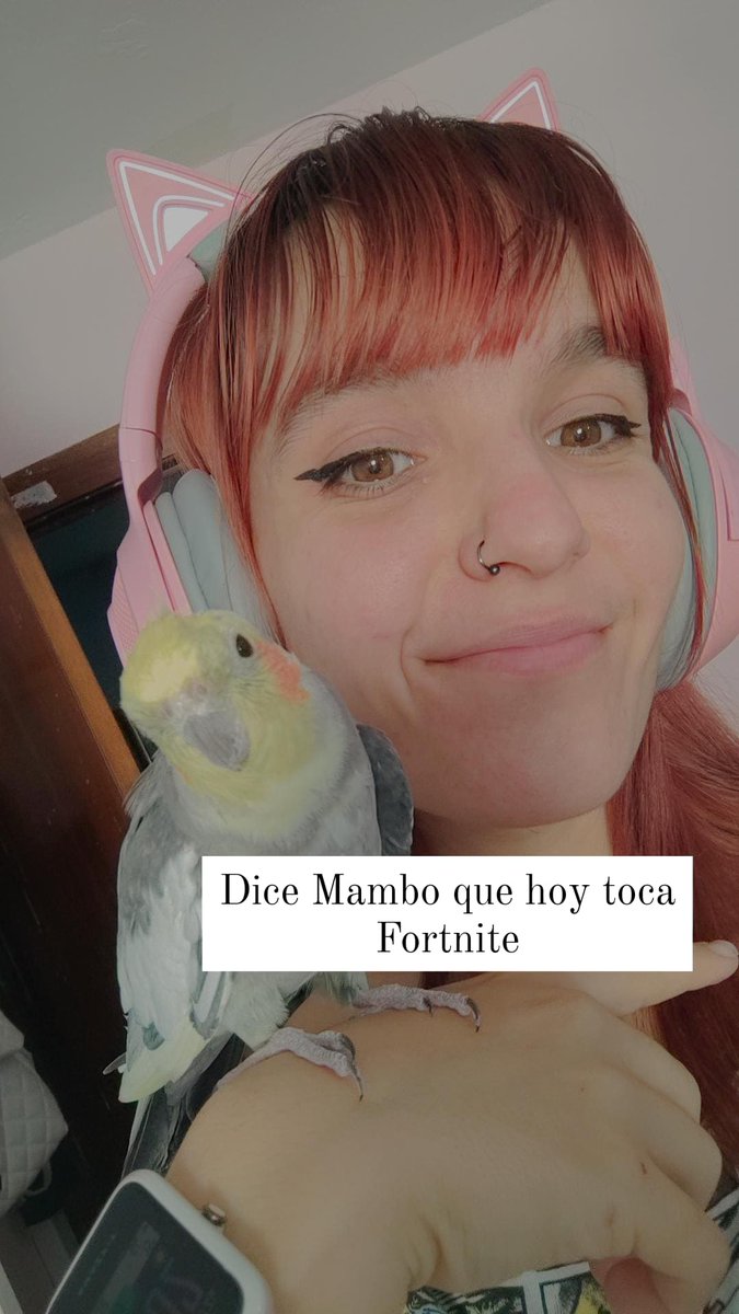Habrá que hacer caso a Mambo, te vienech???? twitch.tv/jessilefty