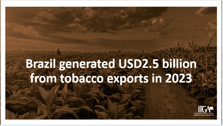 🤔 Did you know that #Brazil is the leading global #tobacco exporter?

👉 Become a member to get access to the latest tobacco sector data: tobaccoleaf.org/membership/

#ITGA #TobaccoGrowers