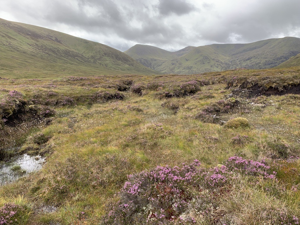 📢Today is your last chance to take part in our #PeatlandCode Version 2.1 public consultation - it closes at 5pm! For more information, to see the draft documents and to complete the survey, please visit our webpage 👇 iucn-uk-peatlandprogramme.org/peatland-code-…