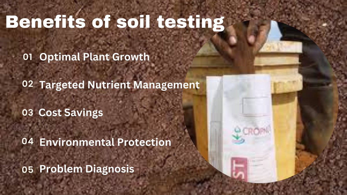 'Soil testing before planting boosts plant growth, targets nutrients, saves money, protects the environment, and diagnoses issues early. #GardeningTips #SustainableFarming #Organicfarming'