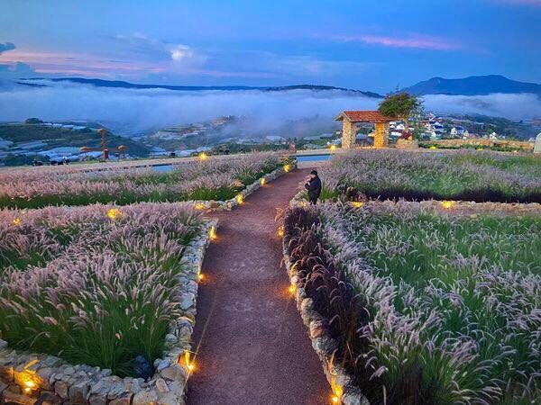 GROK π² ❖❖ Arichain tweet media