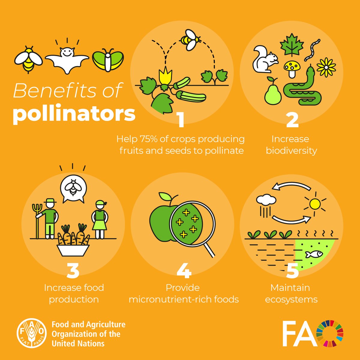 Happy #WorldBeeDay!🐝 Pollinators allow many plants, including #food crops, to reproduce. Indeed, the food that we eat, such as fruits & vegetables, directly relies on pollinators. A world without pollinators would equal a world without blueberries, coffee, chocolate, and more.