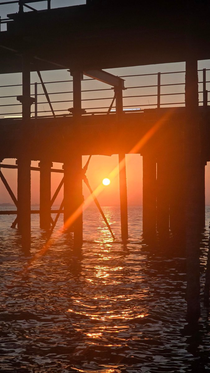 Ryde Rescue tweet media