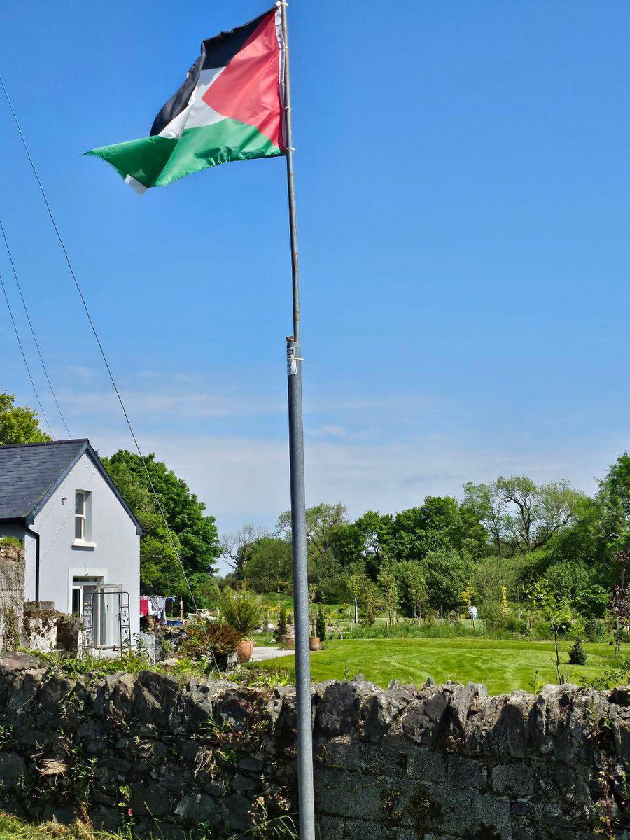 Activists hang a flag of Palestine in the middle of the countryside in South Wexford, Ireland.