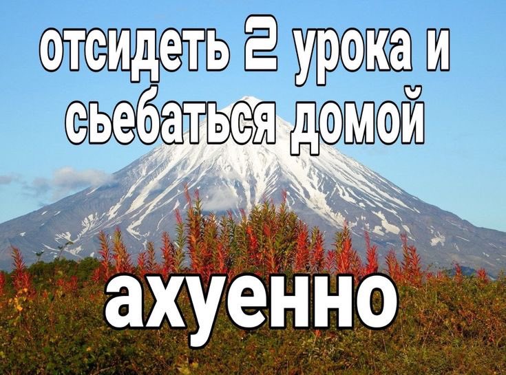 **xxd (@oooxxvvkkod) on Twitter photo 