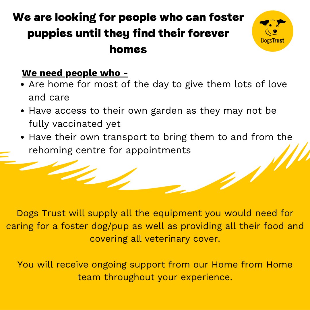 We are on the lookout for dog lovers who would be able to take on the challenge of fostering a puppy until their forever home is found🏡

Apply online today at bit.ly/3hgIzwn or simply email us at HFHWestCalder@dogstrust.org.uk to find out more!

@DogsTrust
#Foster