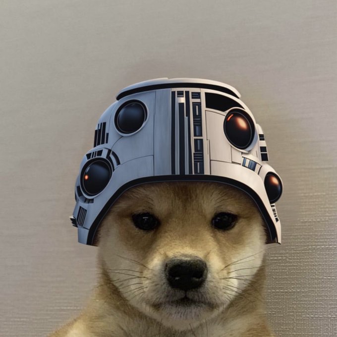 May the 4th be $WIF you anon!