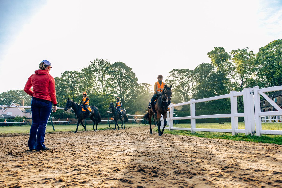 Ready for another busy week ahead here at Somerville Lodge! 💪🏼🏇🏽

#SL #SomervilleLodge #HorseRacing #Newmarket #Thoroughbred #Horses #Racehorses