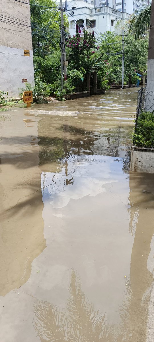 flpmadhu's tweet photo. @GHMCOnline https://t.co/5Z9qZOqmPM