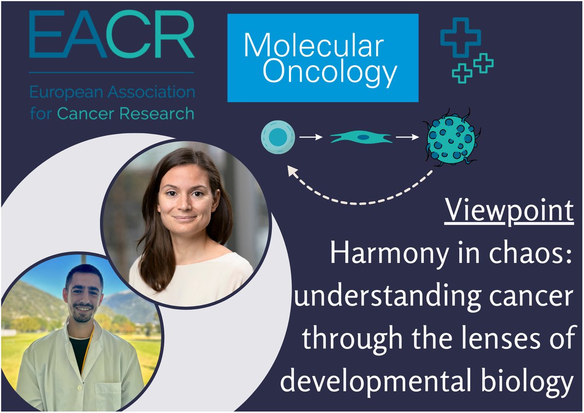 Have you browsed our collection of @EACRnews Viewpoints which showcase authoritative opinions on cutting-edge topics in #cancerresearch?

🔎 Read this EACR Viewpoint which explores understanding #cancer through the lenses of #developmentalbiology: bit.ly/4aIEdEZ
