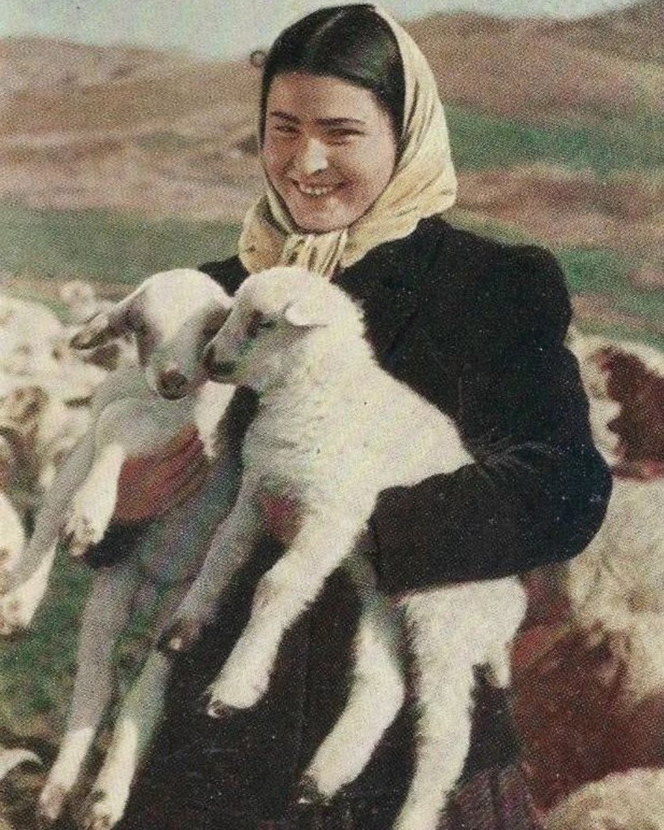 🇦🇿Azerbaycan Türkü bir çoban.
